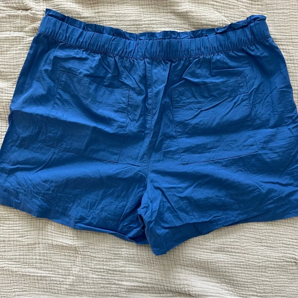 Loft Drawstring Shorts - Picture 3 of 3